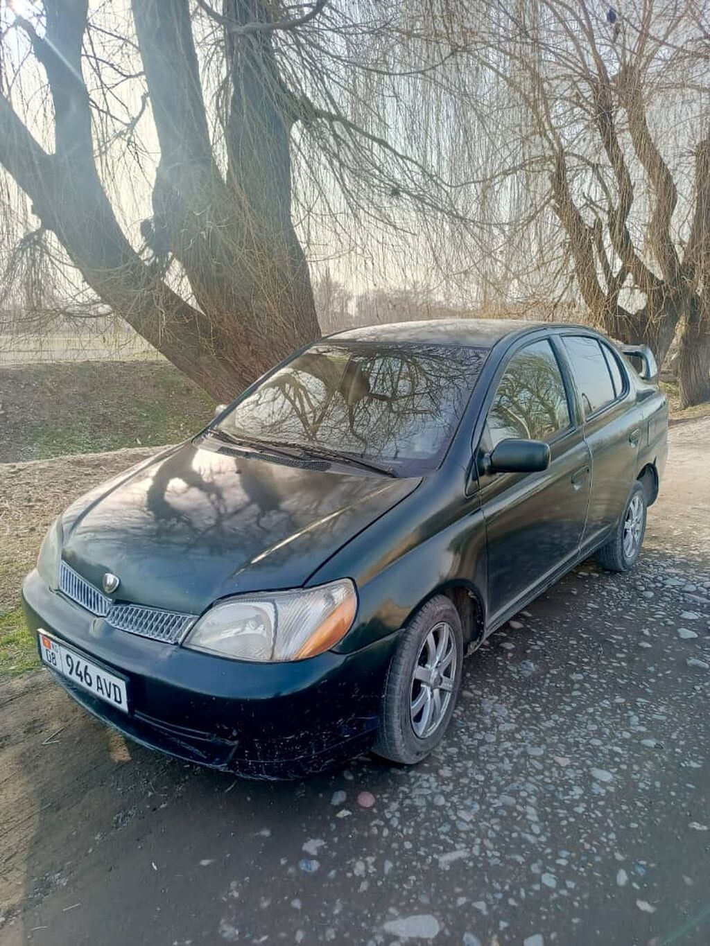 Toyota Vitz / Platz / Yaris / Echo