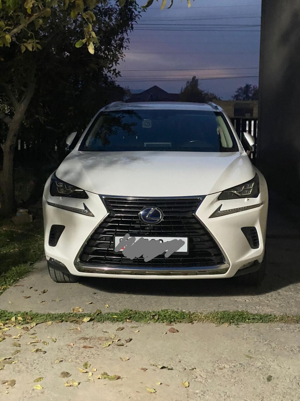 Lexus NX