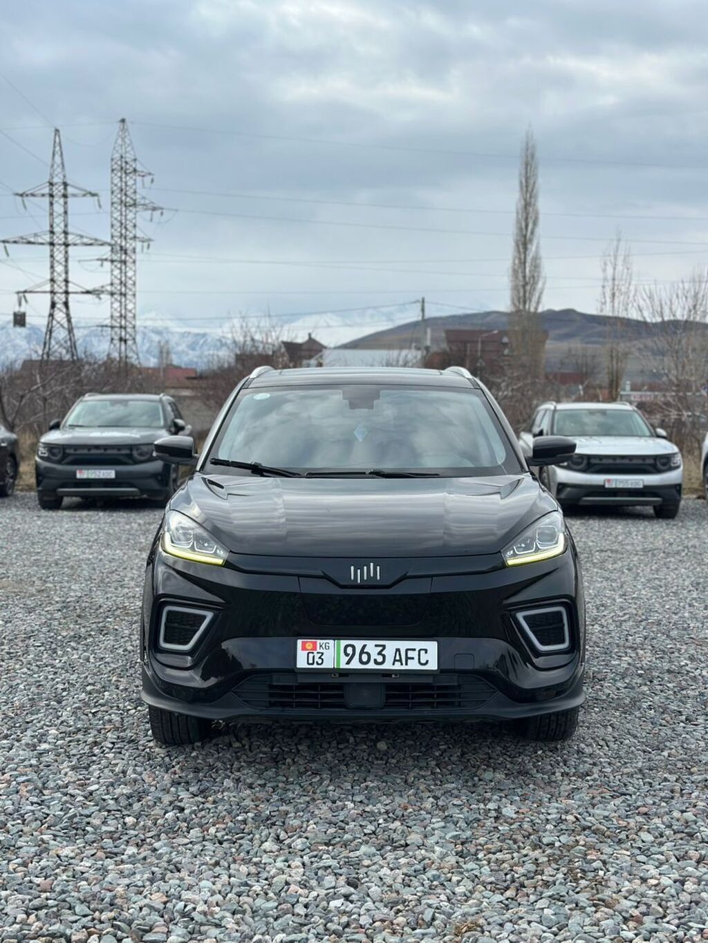 Weltmeister 2020 г., 82000 км, Передний, В наличии